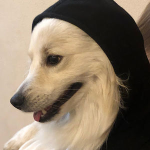 Meet your Posher, Инесса